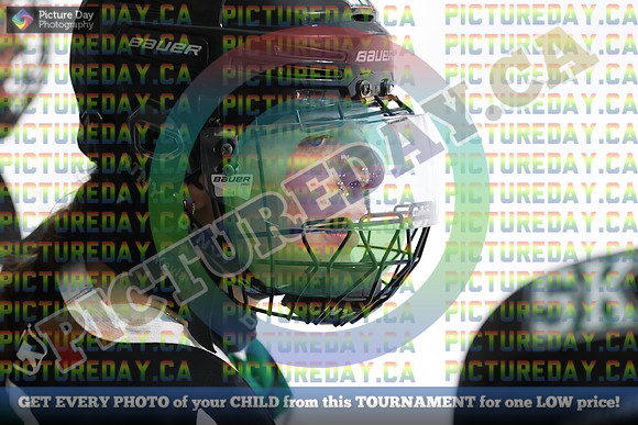 20250401-7911