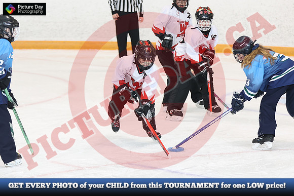 20241214-0566142024 St Marys Sinpers Ringette Tournament