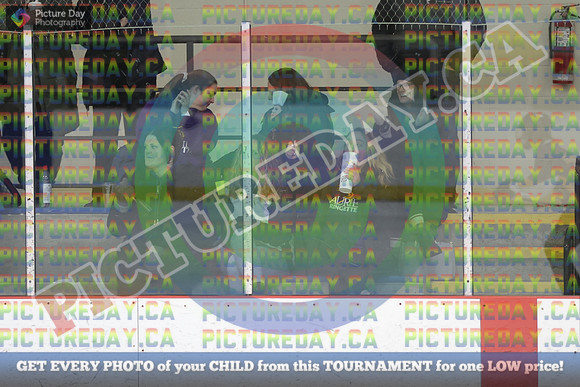 20250227-3029