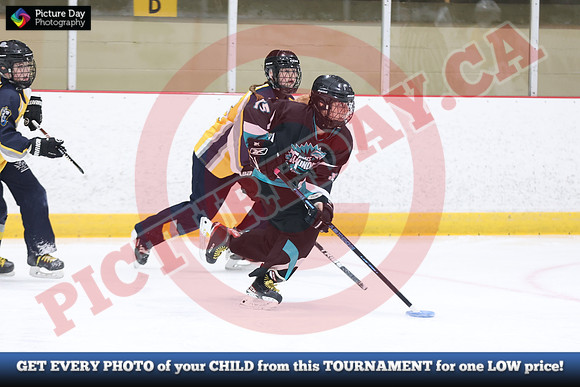 20241214-0444142024 St Marys Sinpers Ringette Tournament