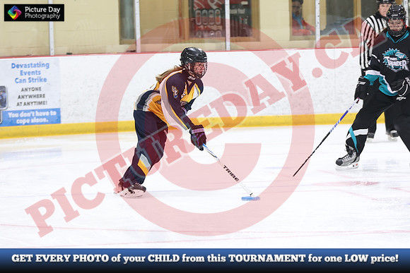 20241214-0425142024 St Marys Sinpers Ringette Tournament