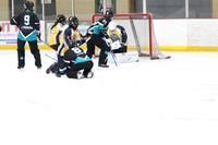 20241214-0379142024 St Marys Sinpers Ringette Tournament