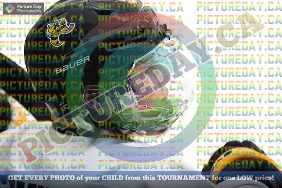 20250221-359221