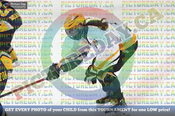 20250208-9399