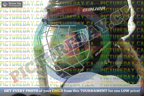 20250131-7568