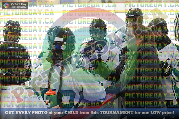 20250208-7403