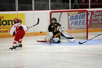 20190920-03536_pm 00.1220 LIBRO [PeeweeMinorA] Sarnia Sting vs St. Clair Shores Saints