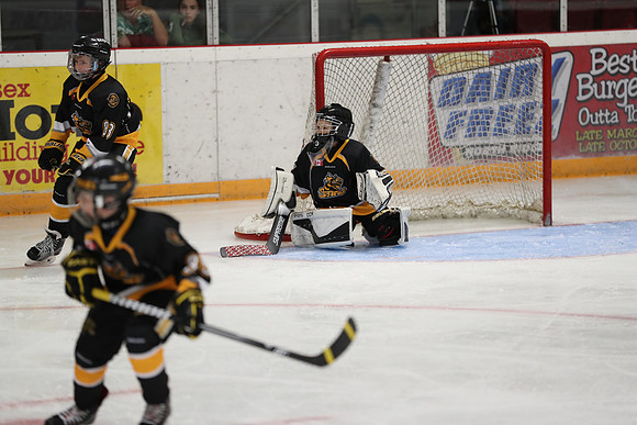 20190920-03761_pm 00.1220 LIBRO [PeeweeMinorA] Sarnia Sting vs St. Clair Shores Saints