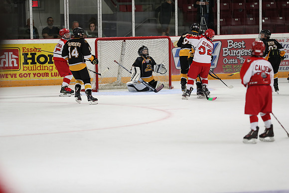 20190920-04652_pm 00.1220 LIBRO [PeeweeMinorA] Sarnia Sting vs St. Clair Shores Saints