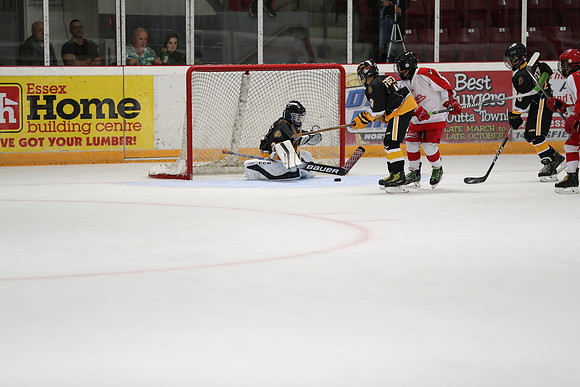 20190920-04715_pm 00.1220 LIBRO [PeeweeMinorA] Sarnia Sting vs St. Clair Shores Saints