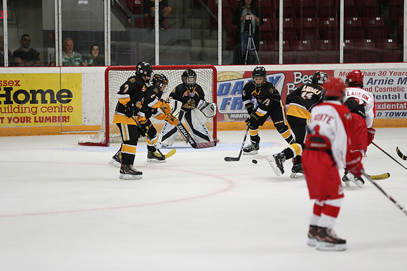 20190920-04729_pm 00.1220 LIBRO [PeeweeMinorA] Sarnia Sting vs St. Clair Shores Saints