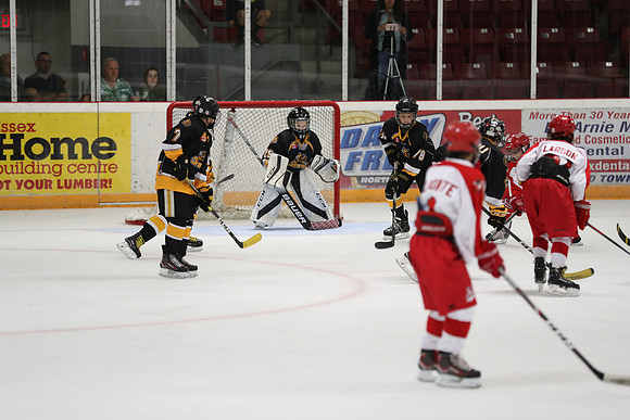 20190920-04728_pm 00.1220 LIBRO [PeeweeMinorA] Sarnia Sting vs St. Clair Shores Saints