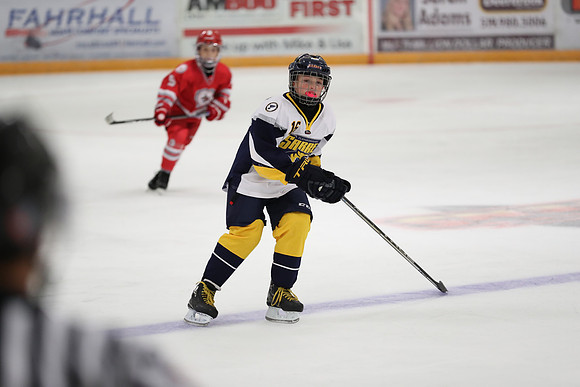 20190920-07182_pm 03.05 LIBRO [AtomMajorAA] St. Clair Shores Saints Red vs Flamborough Dundas Sabres