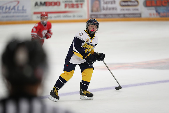 20190920-07183_pm 03.05 LIBRO [AtomMajorAA] St. Clair Shores Saints Red vs Flamborough Dundas Sabres
