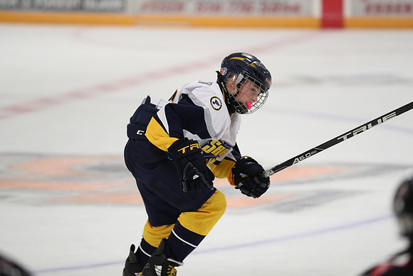 20190921-18277_pm 04.40 LIBRO [AtomMajorAA] Tecumseh Shoreline Eagles vs Flamborough Dundas Sabres