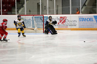 20190920-06048_pm 03.05 LIBRO [AtomMajorAA] St. Clair Shores Saints Red vs Flamborough Dundas Sabres
