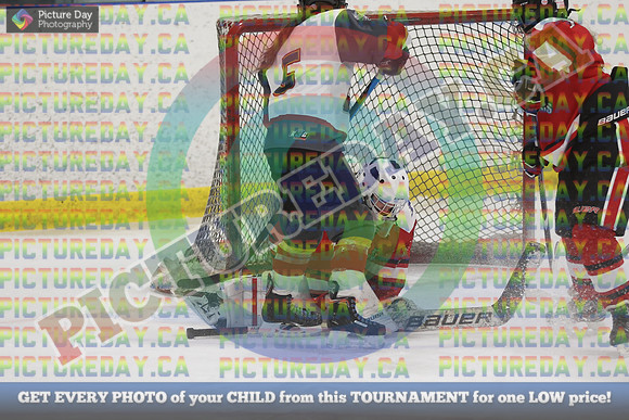 20250131-6626