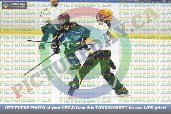 20250103-137132025 Whitby Ringette Tournament