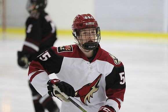 20191013-15664_pm 03.45 [West] Phoenix Jr Coyotes vs Red Deer Rebels AAA