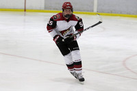 20191013-15708_pm 03.45 [West] Phoenix Jr Coyotes vs Red Deer Rebels AAA