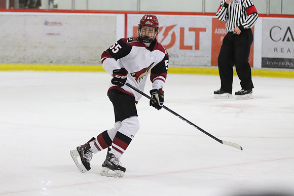 20191014-17159_am 08.00 [East] Phoenix Jr Coyotoes vs Delta White Bantam Rep