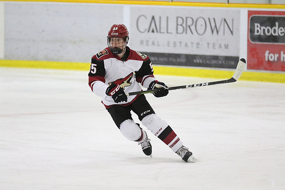 20191013-15773_pm 03.45 [West] Phoenix Jr Coyotes vs Red Deer Rebels AAA