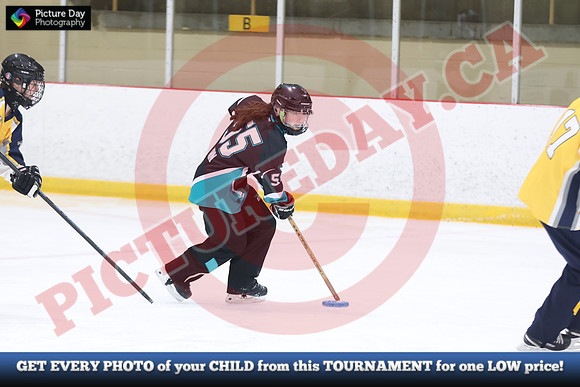 20241214-0433142024 St Marys Sinpers Ringette Tournament