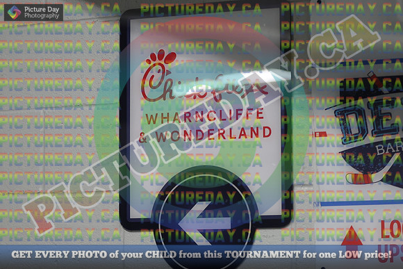 20250131-4169