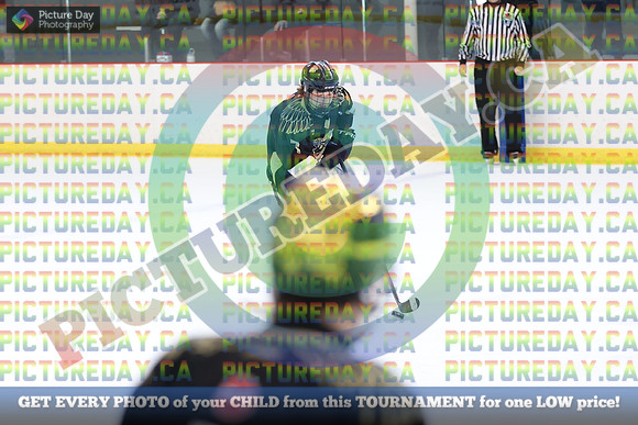 20250223-1313323