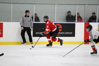 20191116-13665_pm 09.30 WF-COL [HLM14] Lampton Shores Predators vs Schomberg Red Wings