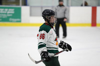 20191130-15318_pm 04.45 WF-LCC [MM Rep-RR] LPC Wild vs Halton Hills Thunder