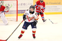 003 pm 02.00 ATC A The Rock [ATOM] Belle River Canadiens vs Vaughn Panthers