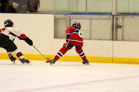 005 pm 01.20 ATC B Shuren  [A AA C] Belle River Canadiens vs Tecumseh Eagles