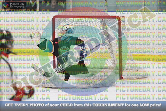 20250131-9168