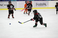 20191228-6686_am 08.00 Fern [Min Novie] Minor Novice Blackhawks vs Minor Novice Flyers