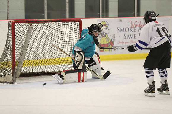 20191227-4862_pm 04.50 TRANS [Pee Blue] Peewee Blue Sharks vs Peewee White Leafs