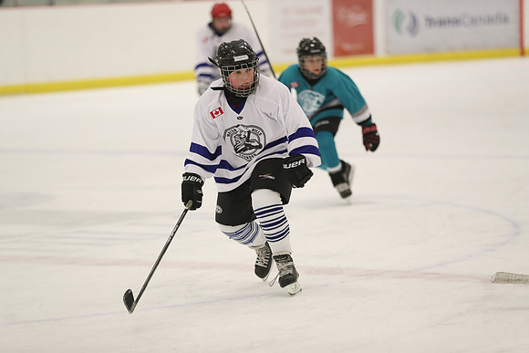 20191227-4741_pm 04.50 TRANS [Pee Blue] Peewee Blue Sharks vs Peewee White Leafs