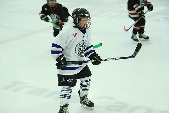 20191228-11340_pm 04.20 TRANS [Pee Blue] Peewee White Leafs vs Peewee Blue Kings