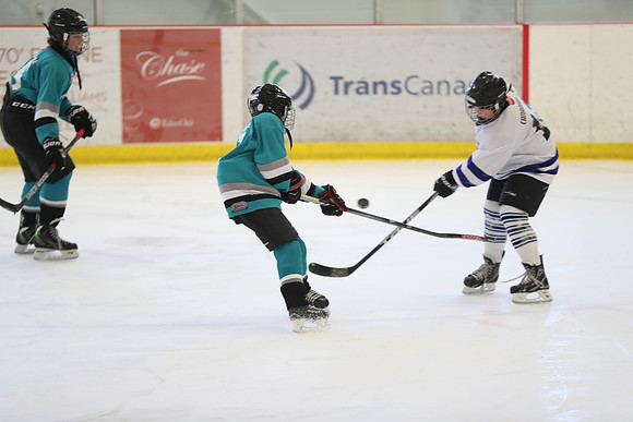 20191230-19256_am 11.15 TRANS [Pee Blue] Peewee Blue Sharks vs Peewee Blue Leafs