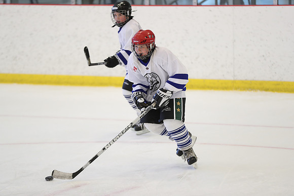 20191230-19314_am 11.15 TRANS [Pee Blue] Peewee Blue Sharks vs Peewee Blue Leafs