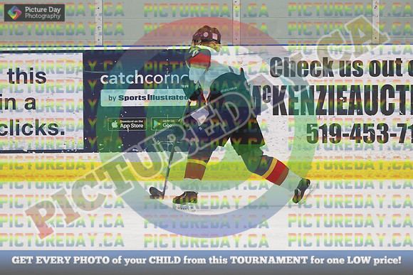20250131-8869