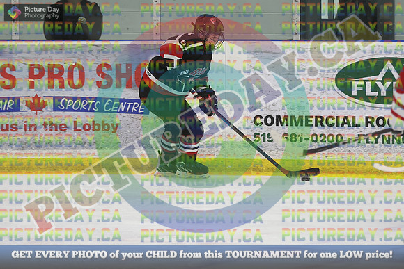 20250131-7349