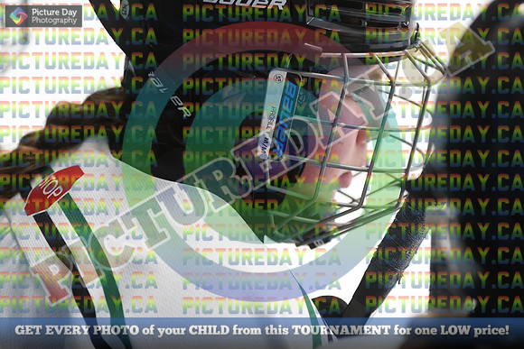 20250201-13011