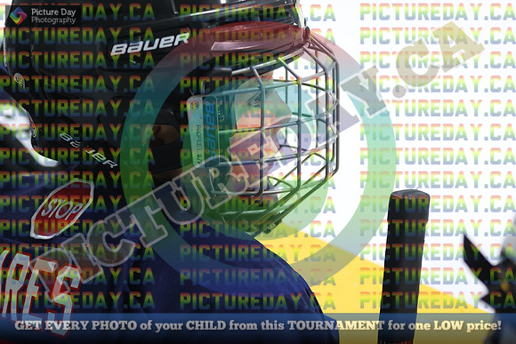 20250201-49831