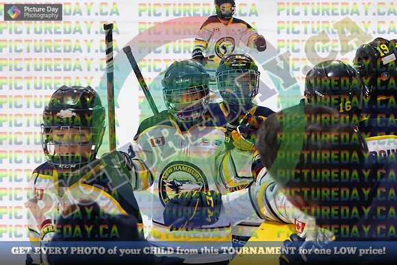 20250201-48991