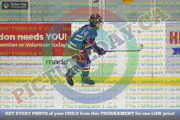 20250201-18559