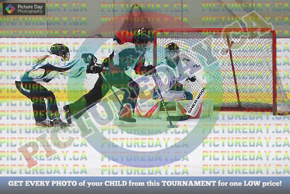 20250208-7393