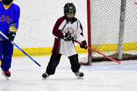 pm 05.00 TCC-East [B T1] Forest Xtreme - Wellington vs Barrie Blizzard