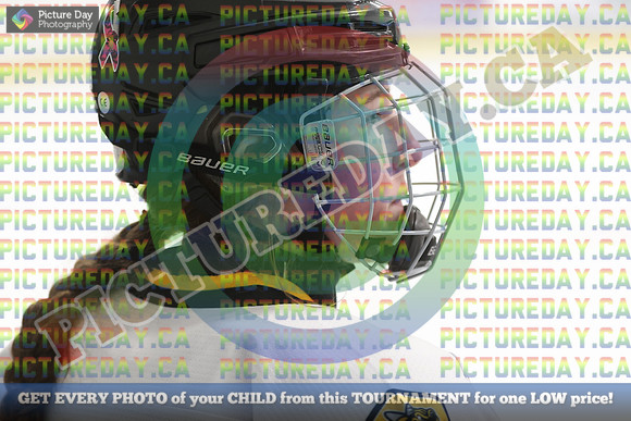 20250131-8008