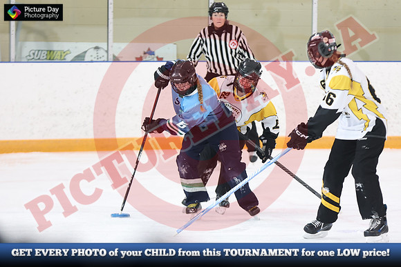 20241214-0293142024 St Marys Sinpers Ringette Tournament